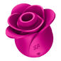 Pro 2 Modern Blossom